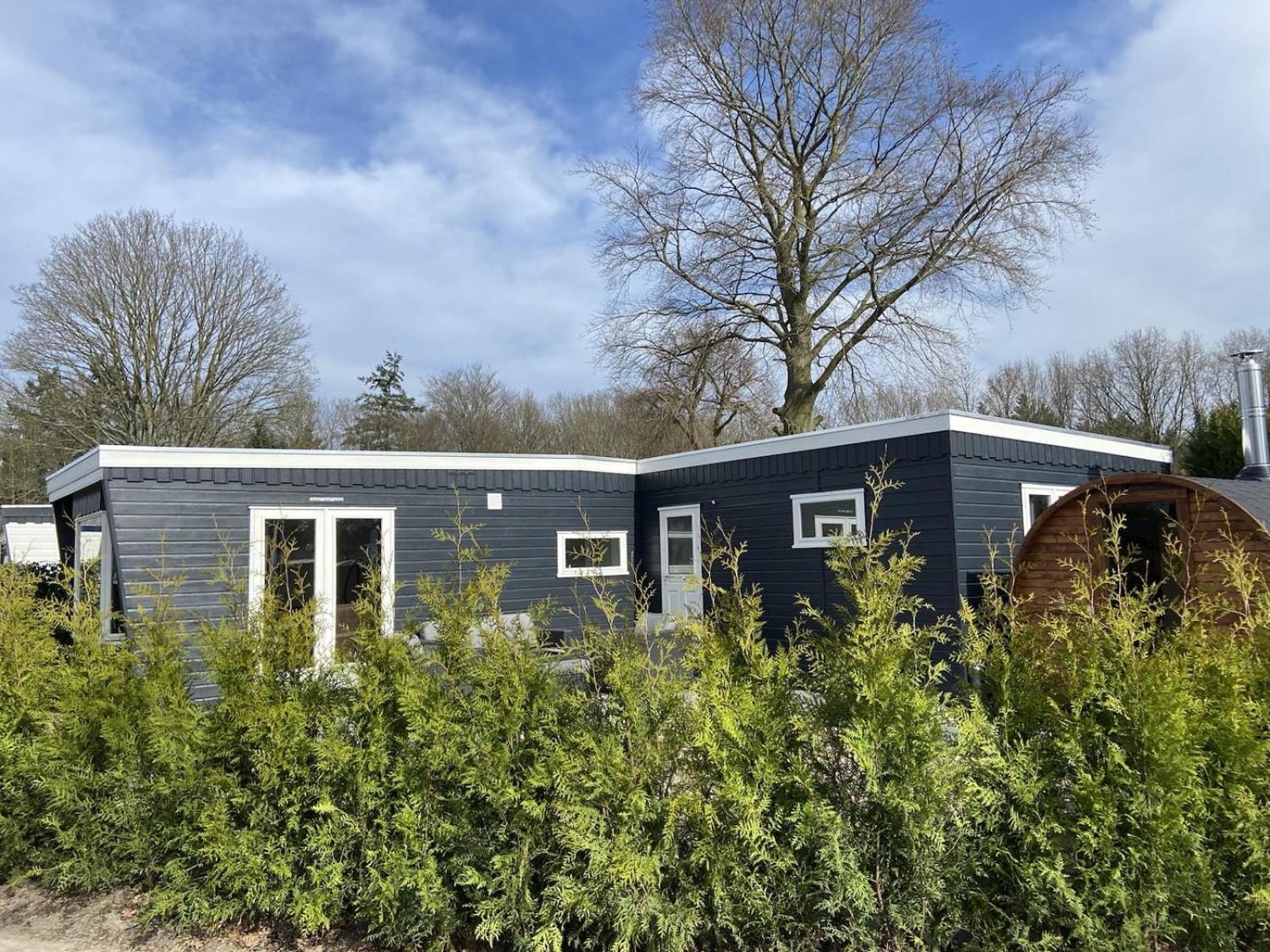 Veluwe Vakanties Chalets With Private Barrel Sauna - With Pool Bar And Restaurant Facilities In The Veluwe National Park Putten Exterior foto